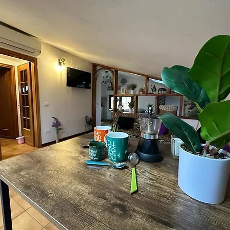 Apartment Tra Il Mare E Il Centro Di - Casa Lilla Viareggio